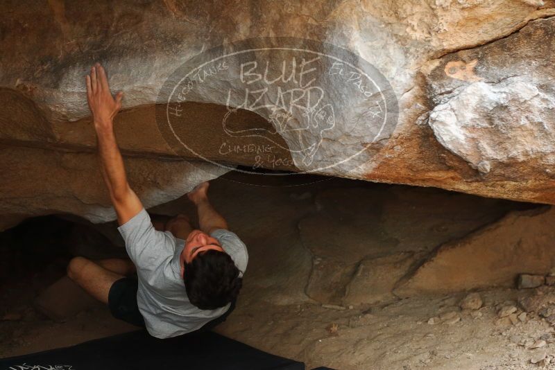 Bouldering in Hueco Tanks on 03/02/2019 with Blue Lizard Climbing and Yoga

Filename: SRM_20190302_1248180.jpg
Aperture: f/3.5
Shutter Speed: 1/250
Body: Canon EOS-1D Mark II
Lens: Canon EF 50mm f/1.8 II