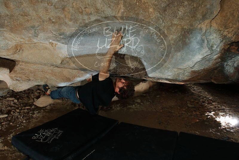 Bouldering in Hueco Tanks on 03/02/2019 with Blue Lizard Climbing and Yoga
Filename: SRM_20190302_1321250.jpg
Aperture: f/8.0
Shutter Speed: 1/250
Body: Canon EOS-1D Mark II
Lens: Canon EF 16-35mm f/2.8 L