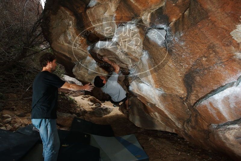 Bouldering in Hueco Tanks on 03/02/2019 with Blue Lizard Climbing and Yoga
Filename: SRM_20190302_1331150.jpg
Aperture: f/5.6
Shutter Speed: 1/250
Body: Canon EOS-1D Mark II
Lens: Canon EF 16-35mm f/2.8 L