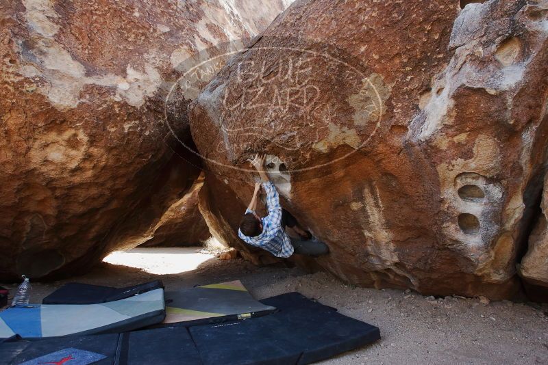 Bouldering in Hueco Tanks on 03/02/2019 with Blue Lizard Climbing and Yoga

Filename: SRM_20190302_1449580.jpg
Aperture: f/5.6
Shutter Speed: 1/250
Body: Canon EOS-1D Mark II
Lens: Canon EF 16-35mm f/2.8 L