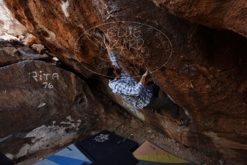 Bouldering in Hueco Tanks on 03/02/2019 with Blue Lizard Climbing and Yoga
Filename: SRM_20190302_1509360.jpg
Aperture: f/5.6
Shutter Speed: 1/250
Body: Canon EOS-1D Mark II
Lens: Canon EF 16-35mm f/2.8 L