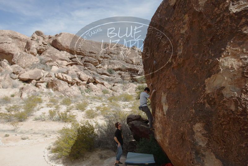 Bouldering in Hueco Tanks on 03/02/2019 with Blue Lizard Climbing and Yoga
Filename: SRM_20190302_1515570.jpg
Aperture: f/5.6
Shutter Speed: 1/250
Body: Canon EOS-1D Mark II
Lens: Canon EF 16-35mm f/2.8 L