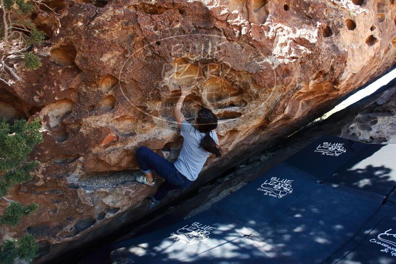 Bouldering in Hueco Tanks on 03/03/2019 with Blue Lizard Climbing and Yoga
Filename: SRM_20190303_1131310.jpg
Aperture: f/5.6
Shutter Speed: 1/250
Body: Canon EOS-1D Mark II
Lens: Canon EF 16-35mm f/2.8 L