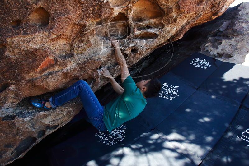 Bouldering in Hueco Tanks on 03/03/2019 with Blue Lizard Climbing and Yoga
Filename: SRM_20190303_1136130.jpg
Aperture: f/5.6
Shutter Speed: 1/250
Body: Canon EOS-1D Mark II
Lens: Canon EF 16-35mm f/2.8 L