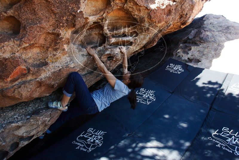 Bouldering in Hueco Tanks on 03/03/2019 with Blue Lizard Climbing and Yoga
Filename: SRM_20190303_1138520.jpg
Aperture: f/5.6
Shutter Speed: 1/250
Body: Canon EOS-1D Mark II
Lens: Canon EF 16-35mm f/2.8 L