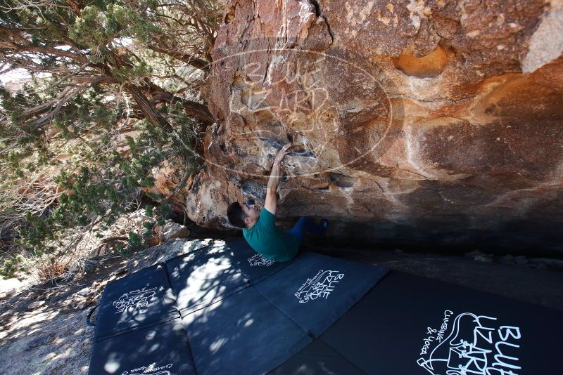 Bouldering in Hueco Tanks on 03/03/2019 with Blue Lizard Climbing and Yoga
Filename: SRM_20190303_1141000.jpg
Aperture: f/5.6
Shutter Speed: 1/250
Body: Canon EOS-1D Mark II
Lens: Canon EF 16-35mm f/2.8 L