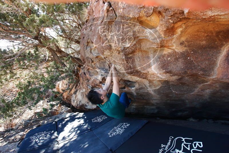 Bouldering in Hueco Tanks on 03/03/2019 with Blue Lizard Climbing and Yoga
Filename: SRM_20190303_1141120.jpg
Aperture: f/5.6
Shutter Speed: 1/250
Body: Canon EOS-1D Mark II
Lens: Canon EF 16-35mm f/2.8 L