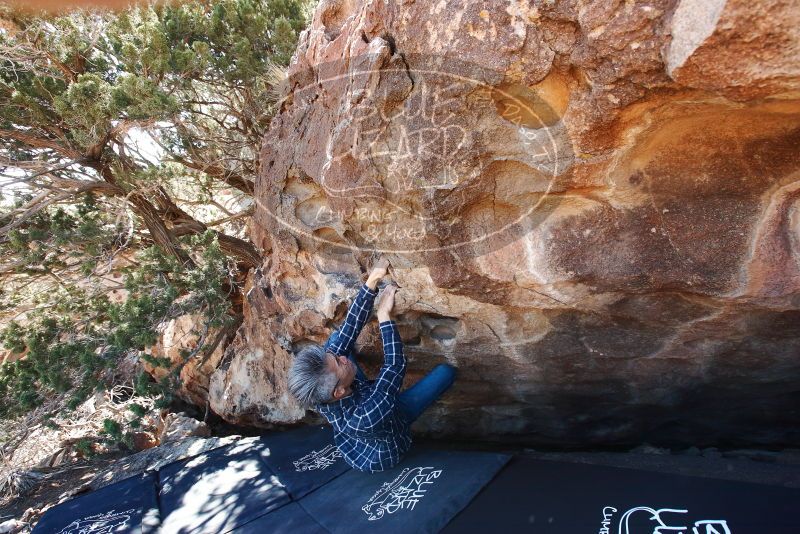 Bouldering in Hueco Tanks on 03/03/2019 with Blue Lizard Climbing and Yoga
Filename: SRM_20190303_1142480.jpg
Aperture: f/5.6
Shutter Speed: 1/250
Body: Canon EOS-1D Mark II
Lens: Canon EF 16-35mm f/2.8 L