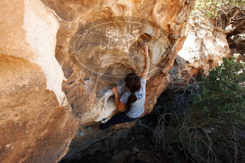 Bouldering in Hueco Tanks on 03/03/2019 with Blue Lizard Climbing and Yoga

Filename: SRM_20190303_1200570.jpg
Aperture: f/7.1
Shutter Speed: 1/250
Body: Canon EOS-1D Mark II
Lens: Canon EF 16-35mm f/2.8 L