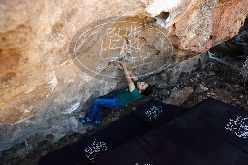 Bouldering in Hueco Tanks on 03/03/2019 with Blue Lizard Climbing and Yoga
Filename: SRM_20190303_1203380.jpg
Aperture: f/4.5
Shutter Speed: 1/250
Body: Canon EOS-1D Mark II
Lens: Canon EF 16-35mm f/2.8 L