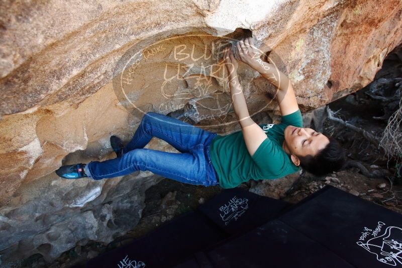 Bouldering in Hueco Tanks on 03/03/2019 with Blue Lizard Climbing and Yoga
Filename: SRM_20190303_1203480.jpg
Aperture: f/4.5
Shutter Speed: 1/250
Body: Canon EOS-1D Mark II
Lens: Canon EF 16-35mm f/2.8 L