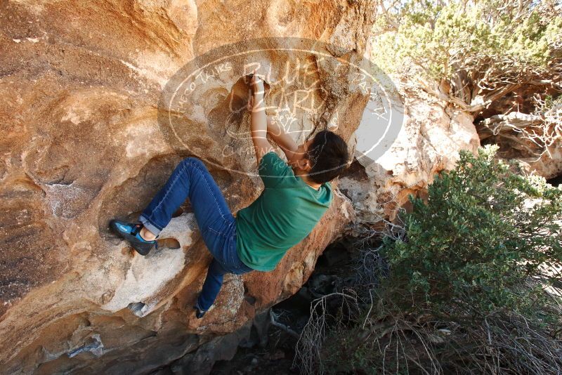 Bouldering in Hueco Tanks on 03/03/2019 with Blue Lizard Climbing and Yoga
Filename: SRM_20190303_1204030.jpg
Aperture: f/7.1
Shutter Speed: 1/250
Body: Canon EOS-1D Mark II
Lens: Canon EF 16-35mm f/2.8 L