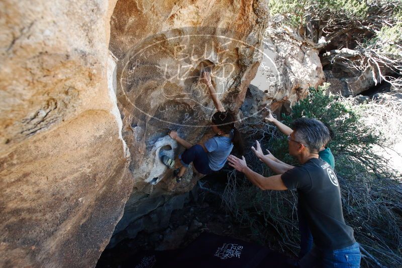 Bouldering in Hueco Tanks on 03/03/2019 with Blue Lizard Climbing and Yoga
Filename: SRM_20190303_1212330.jpg
Aperture: f/8.0
Shutter Speed: 1/250
Body: Canon EOS-1D Mark II
Lens: Canon EF 16-35mm f/2.8 L