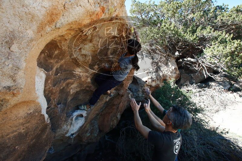 Bouldering in Hueco Tanks on 03/03/2019 with Blue Lizard Climbing and Yoga
Filename: SRM_20190303_1212430.jpg
Aperture: f/10.0
Shutter Speed: 1/250
Body: Canon EOS-1D Mark II
Lens: Canon EF 16-35mm f/2.8 L