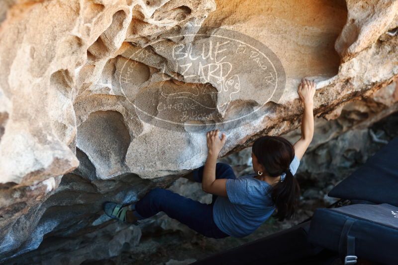 Bouldering in Hueco Tanks on 03/03/2019 with Blue Lizard Climbing and Yoga

Filename: SRM_20190303_1224560.jpg
Aperture: f/3.5
Shutter Speed: 1/250
Body: Canon EOS-1D Mark II
Lens: Canon EF 50mm f/1.8 II