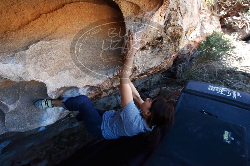 Bouldering in Hueco Tanks on 03/03/2019 with Blue Lizard Climbing and Yoga
Filename: SRM_20190303_1229170.jpg
Aperture: f/5.0
Shutter Speed: 1/500
Body: Canon EOS-1D Mark II
Lens: Canon EF 16-35mm f/2.8 L