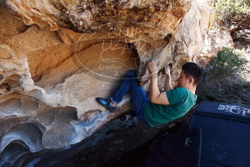 Bouldering in Hueco Tanks on 03/03/2019 with Blue Lizard Climbing and Yoga
Filename: SRM_20190303_1232280.jpg
Aperture: f/5.0
Shutter Speed: 1/640
Body: Canon EOS-1D Mark II
Lens: Canon EF 16-35mm f/2.8 L