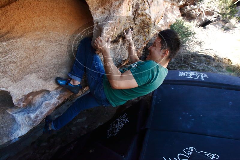 Bouldering in Hueco Tanks on 03/03/2019 with Blue Lizard Climbing and Yoga

Filename: SRM_20190303_1236351.jpg
Aperture: f/5.0
Shutter Speed: 1/500
Body: Canon EOS-1D Mark II
Lens: Canon EF 16-35mm f/2.8 L