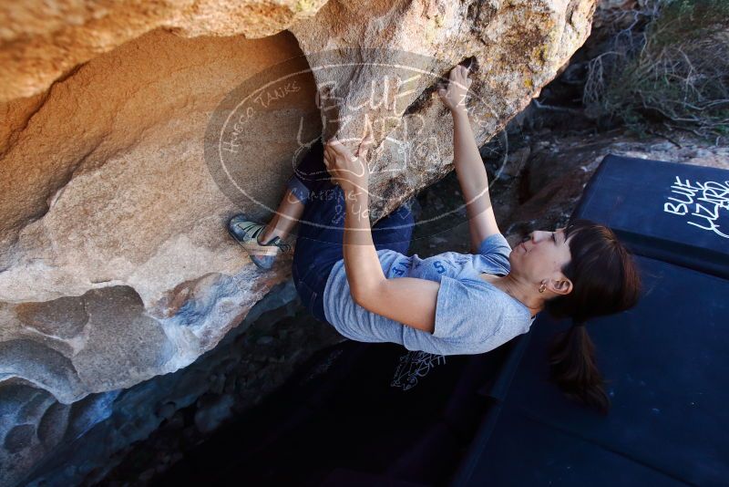 Bouldering in Hueco Tanks on 03/03/2019 with Blue Lizard Climbing and Yoga
Filename: SRM_20190303_1238330.jpg
Aperture: f/5.0
Shutter Speed: 1/400
Body: Canon EOS-1D Mark II
Lens: Canon EF 16-35mm f/2.8 L