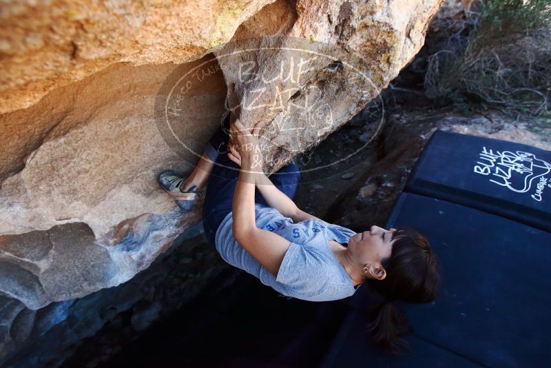 Bouldering in Hueco Tanks on 03/03/2019 with Blue Lizard Climbing and Yoga
Filename: SRM_20190303_1238350.jpg
Aperture: f/5.0
Shutter Speed: 1/500
Body: Canon EOS-1D Mark II
Lens: Canon EF 16-35mm f/2.8 L