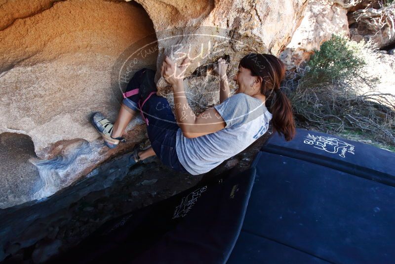 Bouldering in Hueco Tanks on 03/03/2019 with Blue Lizard Climbing and Yoga
Filename: SRM_20190303_1240470.jpg
Aperture: f/5.0
Shutter Speed: 1/500
Body: Canon EOS-1D Mark II
Lens: Canon EF 16-35mm f/2.8 L