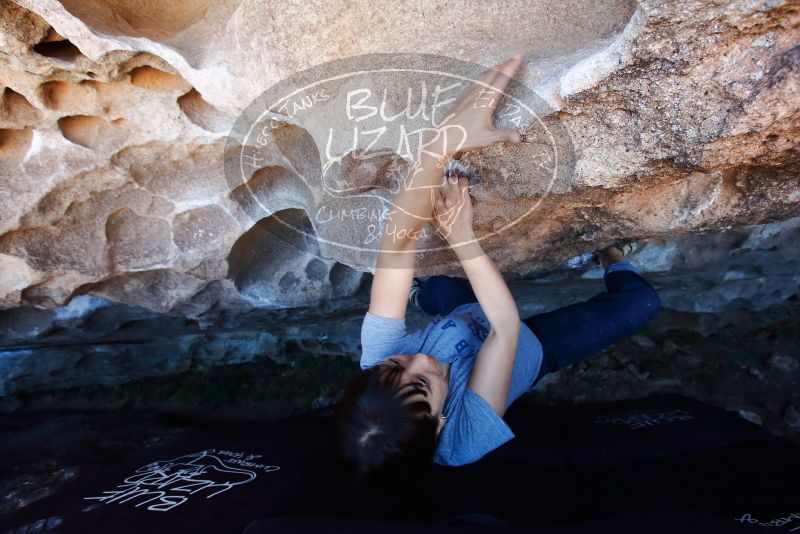 Bouldering in Hueco Tanks on 03/03/2019 with Blue Lizard Climbing and Yoga

Filename: SRM_20190303_1243370.jpg
Aperture: f/5.6
Shutter Speed: 1/160
Body: Canon EOS-1D Mark II
Lens: Canon EF 16-35mm f/2.8 L