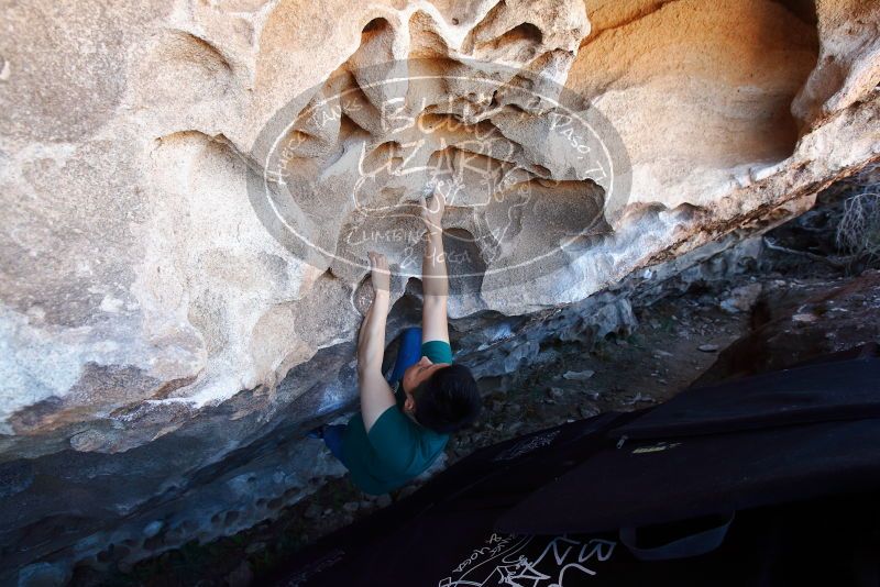 Bouldering in Hueco Tanks on 03/03/2019 with Blue Lizard Climbing and Yoga

Filename: SRM_20190303_1248560.jpg
Aperture: f/5.6
Shutter Speed: 1/160
Body: Canon EOS-1D Mark II
Lens: Canon EF 16-35mm f/2.8 L