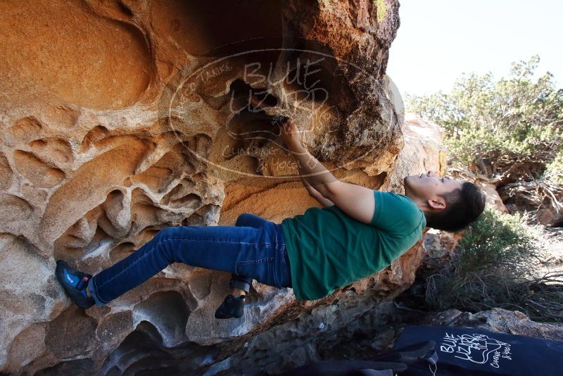 Bouldering in Hueco Tanks on 03/03/2019 with Blue Lizard Climbing and Yoga
Filename: SRM_20190303_1249160.jpg
Aperture: f/5.6
Shutter Speed: 1/640
Body: Canon EOS-1D Mark II
Lens: Canon EF 16-35mm f/2.8 L