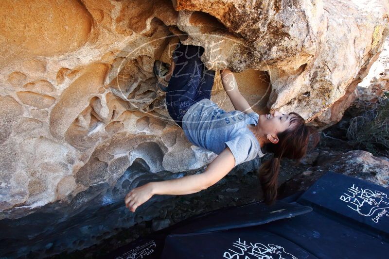 Bouldering in Hueco Tanks on 03/03/2019 with Blue Lizard Climbing and Yoga
Filename: SRM_20190303_1316380.jpg
Aperture: f/5.6
Shutter Speed: 1/250
Body: Canon EOS-1D Mark II
Lens: Canon EF 16-35mm f/2.8 L