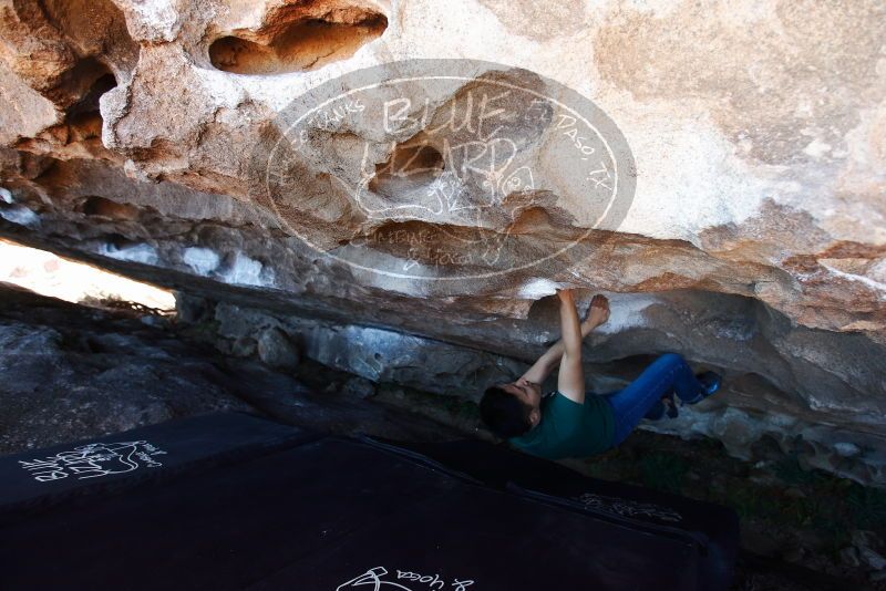 Bouldering in Hueco Tanks on 03/03/2019 with Blue Lizard Climbing and Yoga
Filename: SRM_20190303_1332440.jpg
Aperture: f/4.0
Shutter Speed: 1/200
Body: Canon EOS-1D Mark II
Lens: Canon EF 16-35mm f/2.8 L