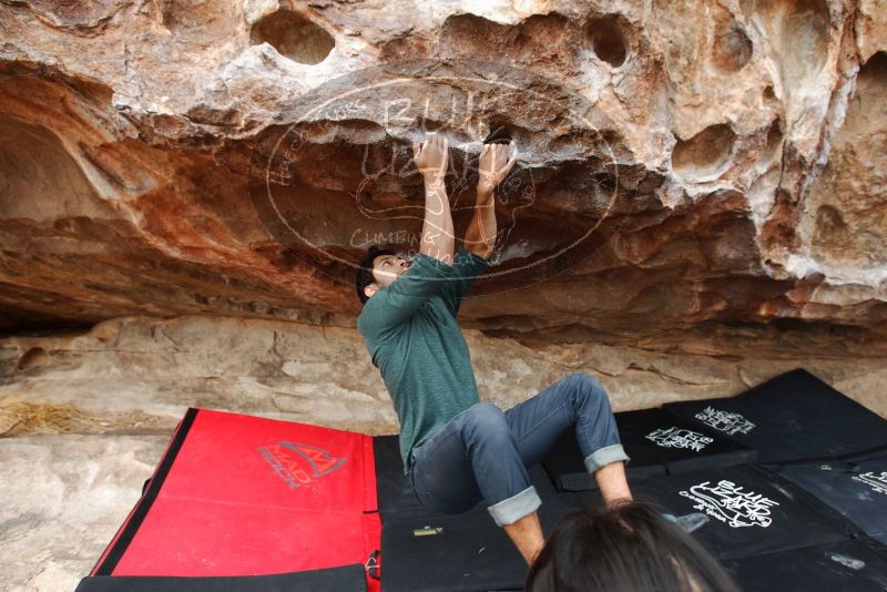 Bouldering in Hueco Tanks on 03/08/2019 with Blue Lizard Climbing and Yoga
Filename: SRM_20190308_1310440.jpg
Aperture: f/5.0
Shutter Speed: 1/250
Body: Canon EOS-1D Mark II
Lens: Canon EF 16-35mm f/2.8 L