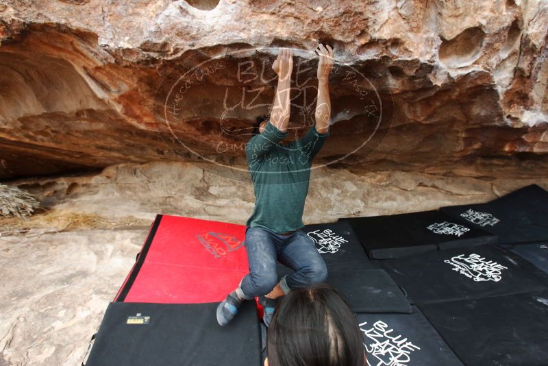 Bouldering in Hueco Tanks on 03/08/2019 with Blue Lizard Climbing and Yoga

Filename: SRM_20190308_1310441.jpg
Aperture: f/5.0
Shutter Speed: 1/250
Body: Canon EOS-1D Mark II
Lens: Canon EF 16-35mm f/2.8 L
