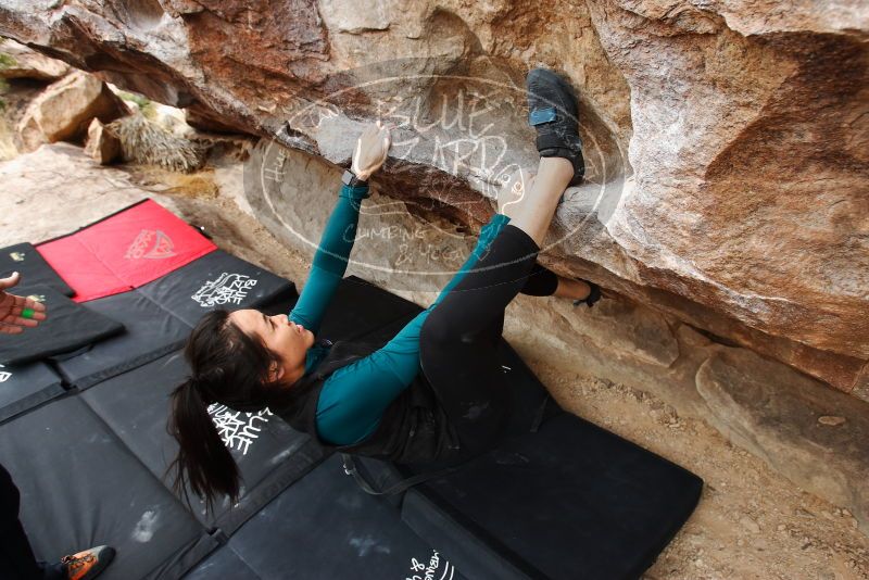 Bouldering in Hueco Tanks on 03/08/2019 with Blue Lizard Climbing and Yoga
Filename: SRM_20190308_1326530.jpg
Aperture: f/5.6
Shutter Speed: 1/160
Body: Canon EOS-1D Mark II
Lens: Canon EF 16-35mm f/2.8 L
