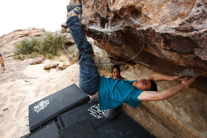 Bouldering in Hueco Tanks on 03/08/2019 with Blue Lizard Climbing and Yoga
Filename: SRM_20190308_1349360.jpg
Aperture: f/5.6
Shutter Speed: 1/320
Body: Canon EOS-1D Mark II
Lens: Canon EF 16-35mm f/2.8 L