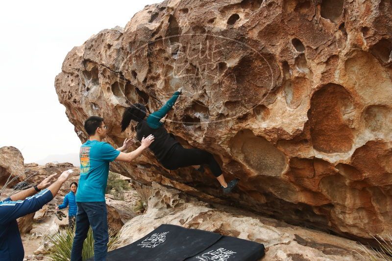 Bouldering in Hueco Tanks on 03/08/2019 with Blue Lizard Climbing and Yoga
Filename: SRM_20190308_1411070.jpg
Aperture: f/5.6
Shutter Speed: 1/400
Body: Canon EOS-1D Mark II
Lens: Canon EF 16-35mm f/2.8 L