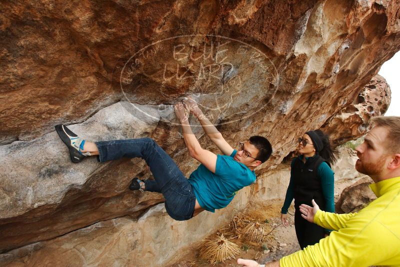 Bouldering in Hueco Tanks on 03/08/2019 with Blue Lizard Climbing and Yoga
Filename: SRM_20190308_1426430.jpg
Aperture: f/5.6
Shutter Speed: 1/250
Body: Canon EOS-1D Mark II
Lens: Canon EF 16-35mm f/2.8 L