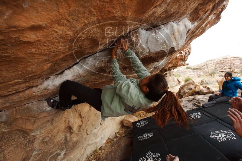 Bouldering in Hueco Tanks on 03/08/2019 with Blue Lizard Climbing and Yoga
Filename: SRM_20190308_1433280.jpg
Aperture: f/5.6
Shutter Speed: 1/250
Body: Canon EOS-1D Mark II
Lens: Canon EF 16-35mm f/2.8 L