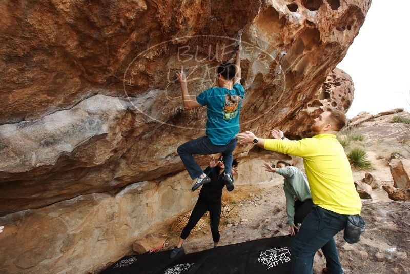 Bouldering in Hueco Tanks on 03/08/2019 with Blue Lizard Climbing and Yoga
Filename: SRM_20190308_1436070.jpg
Aperture: f/5.6
Shutter Speed: 1/320
Body: Canon EOS-1D Mark II
Lens: Canon EF 16-35mm f/2.8 L