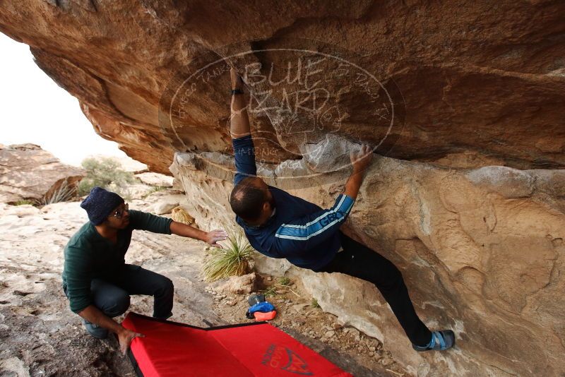 Bouldering in Hueco Tanks on 03/08/2019 with Blue Lizard Climbing and Yoga
Filename: SRM_20190308_1453260.jpg
Aperture: f/5.0
Shutter Speed: 1/250
Body: Canon EOS-1D Mark II
Lens: Canon EF 16-35mm f/2.8 L