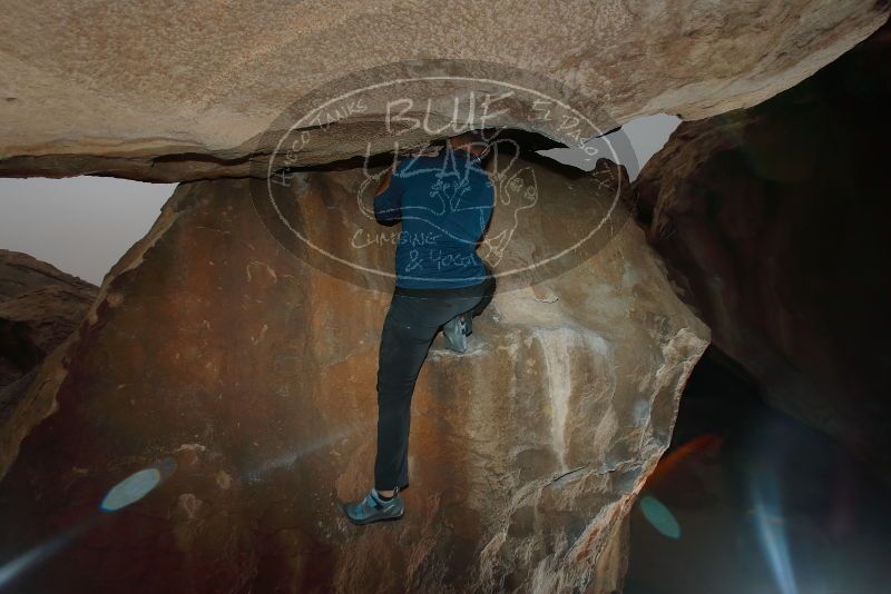 Bouldering in Hueco Tanks on 03/08/2019 with Blue Lizard Climbing and Yoga
Filename: SRM_20190308_1732190.jpg
Aperture: f/5.6
Shutter Speed: 1/250
Body: Canon EOS-1D Mark II
Lens: Canon EF 16-35mm f/2.8 L