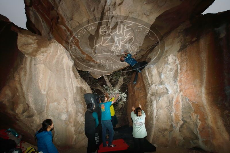 Bouldering in Hueco Tanks on 03/08/2019 with Blue Lizard Climbing and Yoga
Filename: SRM_20190308_1743160.jpg
Aperture: f/5.6
Shutter Speed: 1/250
Body: Canon EOS-1D Mark II
Lens: Canon EF 16-35mm f/2.8 L