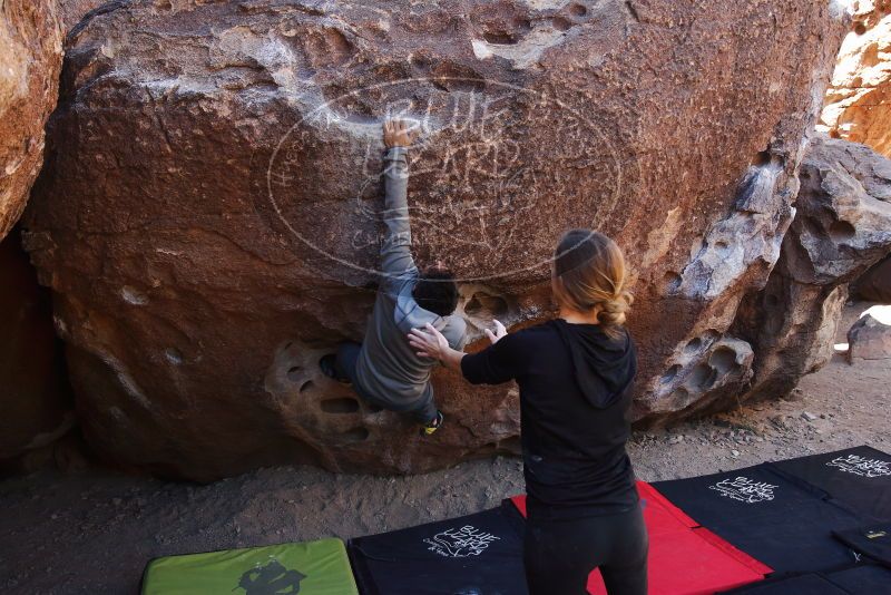 Bouldering in Hueco Tanks on 03/09/2019 with Blue Lizard Climbing and Yoga

Filename: SRM_20190309_1054210.jpg
Aperture: f/5.6
Shutter Speed: 1/200
Body: Canon EOS-1D Mark II
Lens: Canon EF 16-35mm f/2.8 L