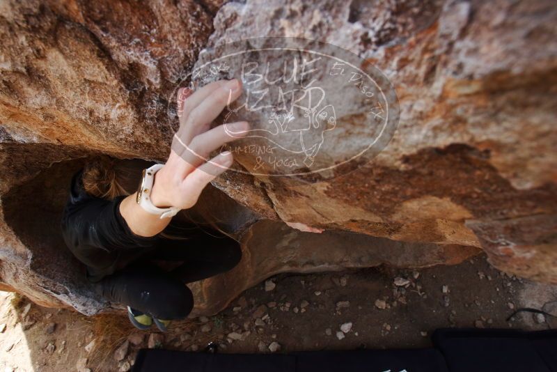 Bouldering in Hueco Tanks on 03/09/2019 with Blue Lizard Climbing and Yoga
Filename: SRM_20190309_1216510.jpg
Aperture: f/5.6
Shutter Speed: 1/500
Body: Canon EOS-1D Mark II
Lens: Canon EF 16-35mm f/2.8 L