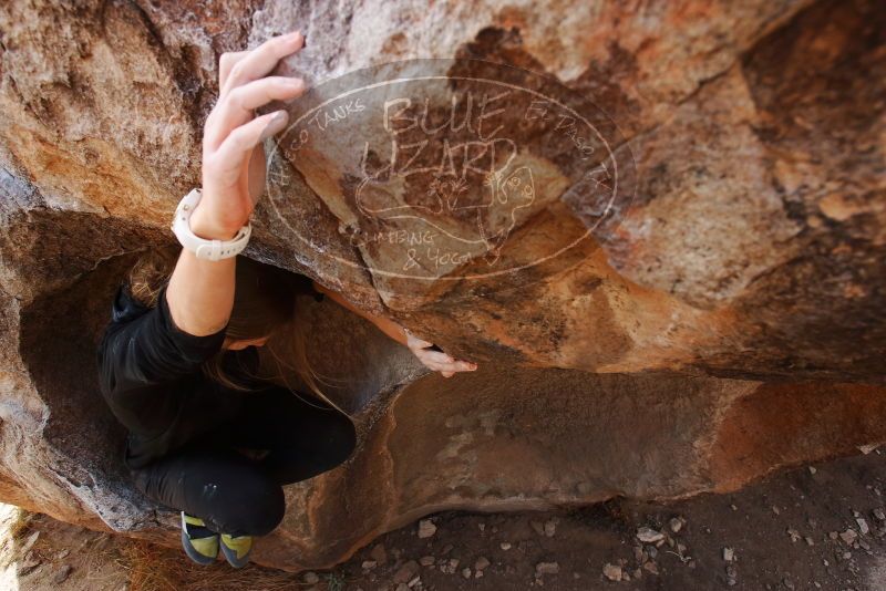 Bouldering in Hueco Tanks on 03/09/2019 with Blue Lizard Climbing and Yoga
Filename: SRM_20190309_1216540.jpg
Aperture: f/5.6
Shutter Speed: 1/400
Body: Canon EOS-1D Mark II
Lens: Canon EF 16-35mm f/2.8 L