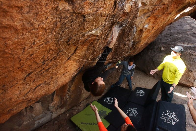 Bouldering in Hueco Tanks on 03/09/2019 with Blue Lizard Climbing and Yoga

Filename: SRM_20190309_1254060.jpg
Aperture: f/5.6
Shutter Speed: 1/320
Body: Canon EOS-1D Mark II
Lens: Canon EF 16-35mm f/2.8 L