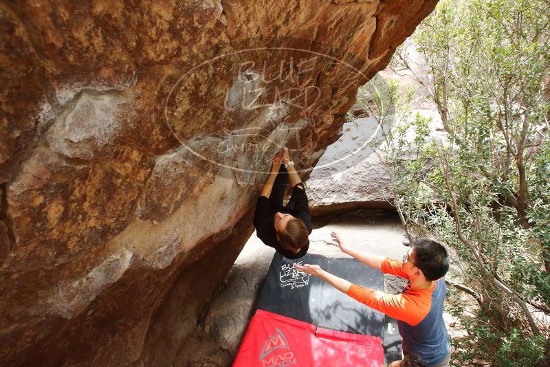 Bouldering in Hueco Tanks on 03/09/2019 with Blue Lizard Climbing and Yoga

Filename: SRM_20190309_1411510.jpg
Aperture: f/5.6
Shutter Speed: 1/250
Body: Canon EOS-1D Mark II
Lens: Canon EF 16-35mm f/2.8 L