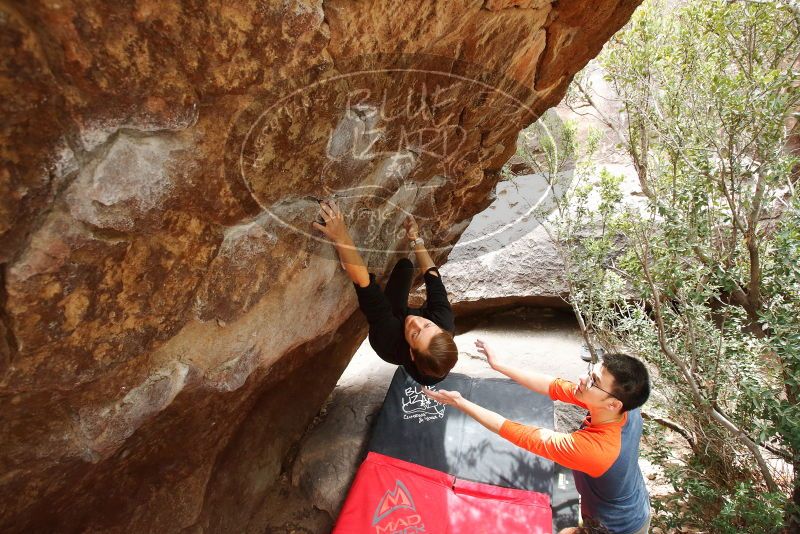 Bouldering in Hueco Tanks on 03/09/2019 with Blue Lizard Climbing and Yoga
Filename: SRM_20190309_1411520.jpg
Aperture: f/5.6
Shutter Speed: 1/250
Body: Canon EOS-1D Mark II
Lens: Canon EF 16-35mm f/2.8 L