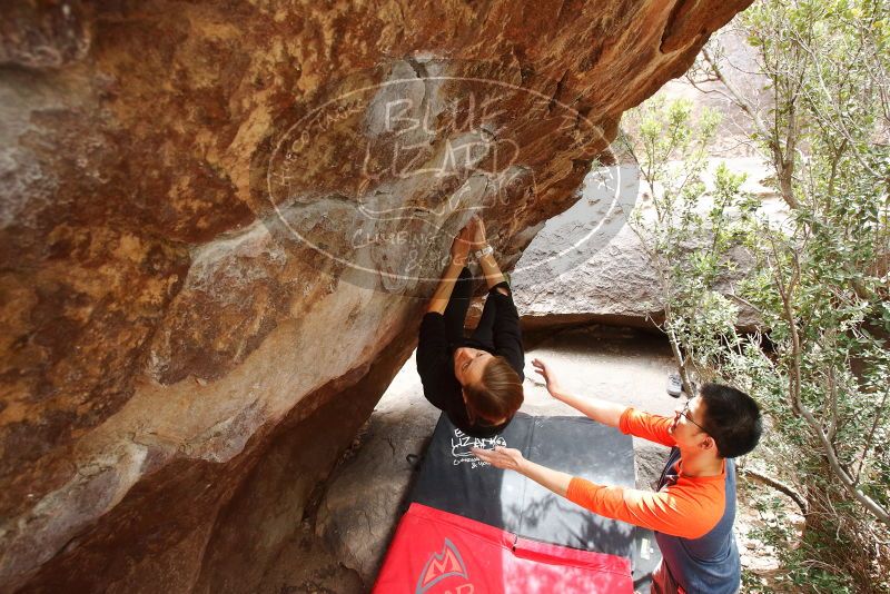Bouldering in Hueco Tanks on 03/09/2019 with Blue Lizard Climbing and Yoga
Filename: SRM_20190309_1412320.jpg
Aperture: f/5.6
Shutter Speed: 1/250
Body: Canon EOS-1D Mark II
Lens: Canon EF 16-35mm f/2.8 L