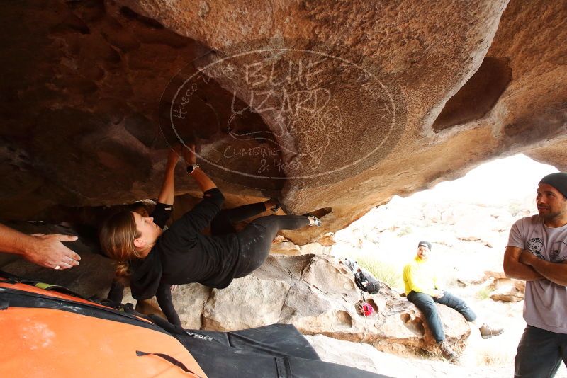 Bouldering in Hueco Tanks on 03/09/2019 with Blue Lizard Climbing and Yoga
Filename: SRM_20190309_1549050.jpg
Aperture: f/5.6
Shutter Speed: 1/250
Body: Canon EOS-1D Mark II
Lens: Canon EF 16-35mm f/2.8 L