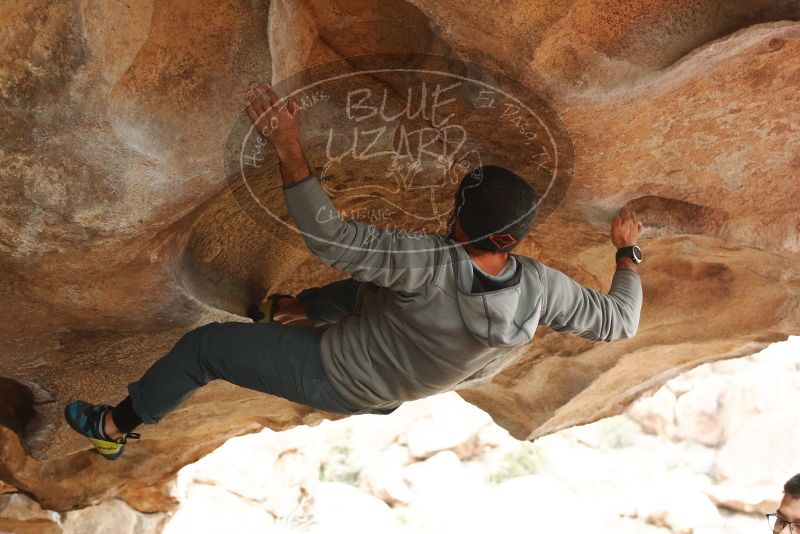 Bouldering in Hueco Tanks on 03/09/2019 with Blue Lizard Climbing and Yoga
Filename: SRM_20190309_1621190.jpg
Aperture: f/4.0
Shutter Speed: 1/320
Body: Canon EOS-1D Mark II
Lens: Canon EF 50mm f/1.8 II